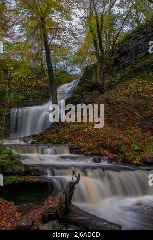 Scaleber Force, befindet sich im nördlichen Bereich der Yorkshire Dales in der Nähe von Settle. Stockfoto