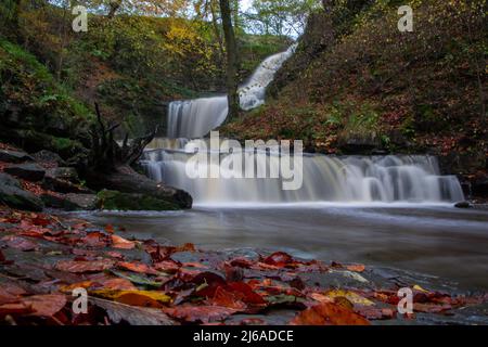 Scaleber Force, befindet sich im nördlichen Bereich der Yorkshire Dales in der Nähe von Settle. Stockfoto