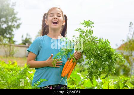 Lachendes kleines Mädchen in einem grünen T-Shirt hält ein paar frische Karotten, Stockfoto