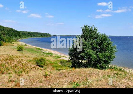 Dummersdorfer Ufer Landschaftsschutzgebiet Lübeck. Stockfoto