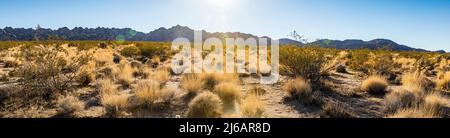 Eine Wüstenlandschaft im Joshua Tree National Park in der Nähe des Eingangs zur Indian Cove. Stockfoto