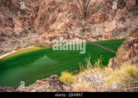 Die Black Bridge überquert den Colorado River am Ende des South Kaibab Trail Stockfoto