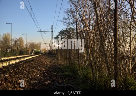 Eisenbahnstrecke auf einem Damm in einem Park bei Sonnenuntergang Stockfoto