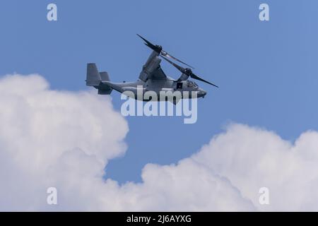 Marine Corps MV-22 OSPREY führt am Freitag, den 29,2022. April, Übungszüge am Strand von Ft Lauderdale am Übungstag in Ft Lauderdale, Florida, durch. Die Fort Lauderdale Air Show wird die US Air Force Thunderbirds, Navy F-35 Lightning, A-10 Thunderbolt, Navy F-18 Rhino und Michael Goulian zeigen und wird am 30. April und 1. Mai 2022 über Ft Lauderdale Beach laufen. Foto von Gary i Rothstein/UPI Stockfoto