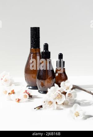 Konvexe Tropfflaschen aus bernsteinfarbenem Glas mit schwarzem Deckel und kirschblühendem Zweig auf Weiß. Natürlicher Frühlingshintergrund. Spa-Produkte. Bio, bio, natürlich Stockfoto