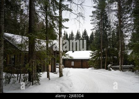 Rovaniemi, Finnland - 18.. März 2022: Holzhütten in einem verschneiten Tannenwald in Finnland. Stockfoto