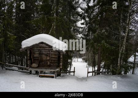 Rovaniemi, Finnland - 18.. März 2022: Ein Holzschuppen in einem verschneiten Tannenwald in Finnland. Stockfoto