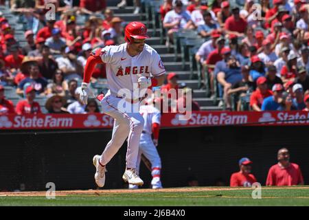 24. April 2022: Los Angeles Angels dritter Baseman Tyler Wade (14) während eines MLB-Baseballspiels zwischen den Baltimore Orioles und den Los Angeles Angels im Angel Stadium in Anaheim, Kalifornien. Justin Fine/CSM Stockfoto