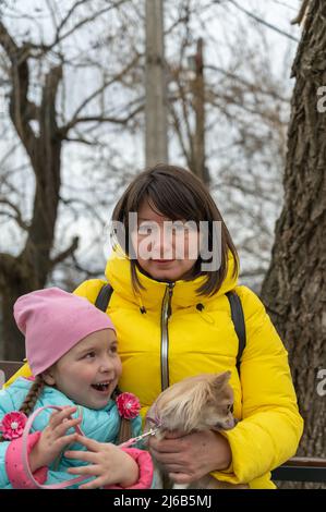 Eine Familie mit einem kleinen Hund, der auf einer Parkbank sitzt. Ein glückliches Kind mit langen Zöpfen. Eine weibliche Chihuahua-Hündin. Mutter in einer gelben Jacke, die den anschaut Stockfoto
