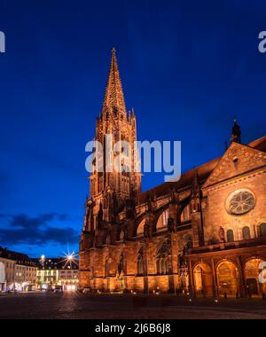 Das Freiburger Münster ist die Kathedrale von Freiburg im Breisgau, Südwestdeutschland - vertikales Foto in blauer Stunde Stockfoto