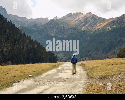 Rückansicht des asiatischen Wanderreisenden Rucksacktouristen, der auf einer unbefestigten Straße in Richtung Berge und Wald geht Stockfoto