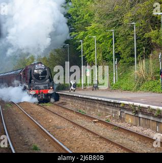 Camborne, Cornwall, Großbritannien, 30.. April 2022, die 84-jährige rote Dampflokomotive Duchess of Sutherland, 6233, machte sich heute früh auf den Weg von Penzance nach London Victoria. Sie hielt heute Morgen um 7,40am Uhr in Camborne an, zur Freude der Bahnbeobachter und Historiker gleichermaßen. Der vor dem Zweiten Weltkrieg gebaute Dampfzug fuhr durch Cornwall, als Teil einer "Tour" von London in alle Ecken des Landes.Quelle: Keith Larby/Alamy Live News Stockfoto