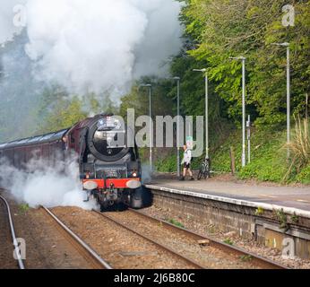 Camborne, Cornwall, Großbritannien, 30.. April 2022, die 84-jährige rote Dampflokomotive Duchess of Sutherland, 6233, machte sich heute früh auf den Weg von Penzance nach London Victoria. Sie hielt heute Morgen um 7,40am Uhr in Camborne an, zur Freude der Bahnbeobachter und Historiker gleichermaßen. Der vor dem Zweiten Weltkrieg gebaute Dampfzug fuhr durch Cornwall, als Teil einer "Tour" von London in alle Ecken des Landes.Quelle: Keith Larby/Alamy Live News Stockfoto