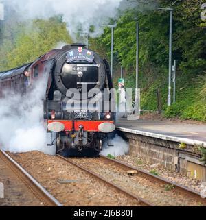 Camborne, Cornwall, Großbritannien, 30.. April 2022, die 84-jährige rote Dampflokomotive Duchess of Sutherland, 6233, machte sich heute früh auf den Weg von Penzance nach London Victoria. Sie hielt heute Morgen um 7,40am Uhr in Camborne an, zur Freude der Bahnbeobachter und Historiker gleichermaßen. Der vor dem Zweiten Weltkrieg gebaute Dampfzug fuhr durch Cornwall, als Teil einer "Tour" von London in alle Ecken des Landes.Quelle: Keith Larby/Alamy Live News Stockfoto