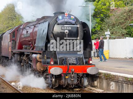 Camborne, Cornwall, Großbritannien, 30.. April 2022, die 84-jährige rote Dampflokomotive Duchess of Sutherland, 6233, machte sich heute früh auf den Weg von Penzance nach London Victoria. Sie hielt heute Morgen um 7,40am Uhr in Camborne an, zur Freude der Bahnbeobachter und Historiker gleichermaßen. Der vor dem Zweiten Weltkrieg gebaute Dampfzug fuhr durch Cornwall, als Teil einer "Tour" von London in alle Ecken des Landes.Quelle: Keith Larby/Alamy Live News Stockfoto