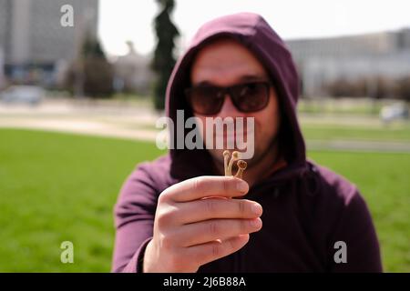 Psilocybin-Pilze in der Hand des Mannes, Nahaufnahme. Psychedelische Zauberreise. Trockene essbare Pilze Golden Teacher. Glücklicher lächelnder Mensch in einem Park. Mikrodosin Stockfoto