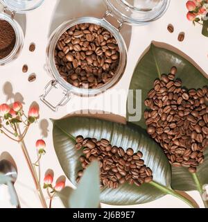 Geröstete Bio-Kaffeebohnen auf grünen Blättern und gemahlener Kaffee in einem Glasgefäß auf elfenbeinfarbenem Hintergrund mit Blumen und Schatten. Kaffeekocher-Konzept Stockfoto