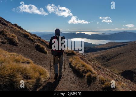 Wandern am Nordhang des Tongariro Alpine Crossing, Lake Rotoaira und Lake Taupo in der Ferne. Stockfoto