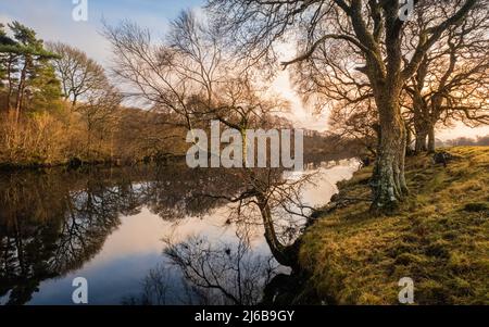 Ein baumbedeckter Pfad am Wasser des Ken-Flusses bei Kendoon bei Sonnenuntergang im Winter Stockfoto