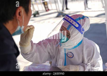 Peking, China. 30. April 2022. (220430) -- PEKING, 30. April 2022 (Xinhua) -- Ein Arzt nimmt eine Abstrichprobe von einem Einwohner für Nukleinsäuretests im Bezirk Daxing, Peking, Hauptstadt von China, am 30. April 2022. Viele Bezirke von Peking haben am Samstag die dritte Runde der Nukleinsäuretests gestartet, um das jüngste Wiederaufleben von COVID-19-Fällen in der Stadt einzudämmen. (Xinhua/Peng Ziyang) Quelle: Xinhua/Alamy Live News Stockfoto