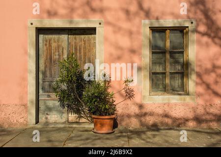 Eine alte Holztür und ein Fenster in einem historischen Wohnhaus im mittelalterlichen Dorf Buzet in Istrien, Westkroatien Stockfoto