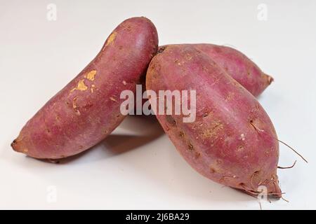 Die Süßkartoffel oder Süßkartoffel ist eine krautige mehrjährige Rebe, die zur Familie der Morning Glory, Convolvulaceae, gehört. Es produziert große, stärkehaltige, Schwein Stockfoto