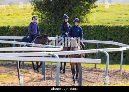 Manor House Stables, Malpas, Henshire. Stockfoto