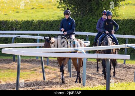 Manor House Stables, Malpas, Henshire. Stockfoto