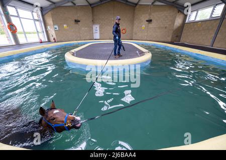 Manor House Stables, Malpas, Henshire. Stockfoto