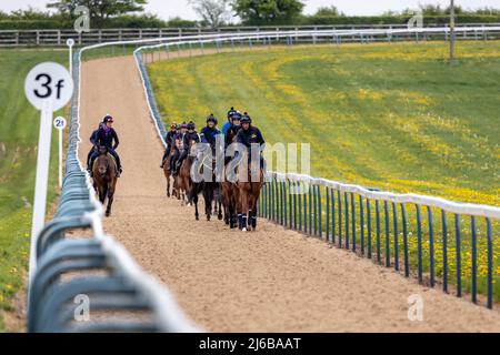 Manor House Stables, Malpas, Henshire. Stockfoto