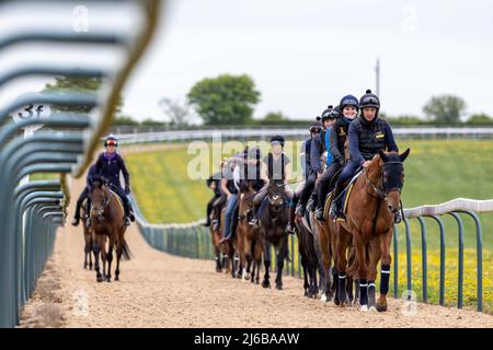 Manor House Stables, Malpas, Henshire. Stockfoto