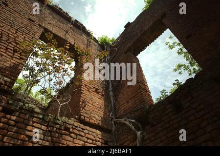 Die Ruinen eines alten Palastes, der von der Bhanj-Dynastie (Mayur/Pfau) am Stadtrand von Tamluk in Westbengalen, Indien, erbaut wurde. Stockfoto