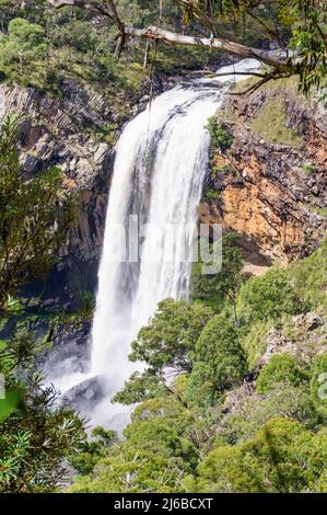 Die Lower Ebor Falls am Guy Fawkes River stürzen sich in die Schlucht - Dorrigo, NSW, Australien Stockfoto