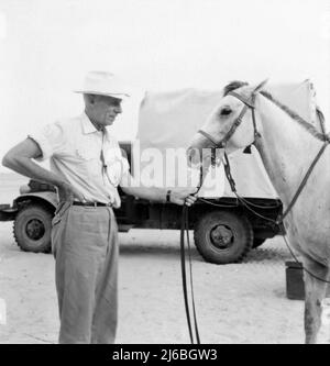 Regisseur HOWARD HAWKS am Drehort mit weißem Pferd in Ägypten während der Dreharbeiten zum LAND DER PHARAONEN 1955 Regisseur / Produzent HOWARD HAWKS Schriftsteller William Faulkner Harry Kurnitz und Harold Jack Bloom Musik Dimitri Tiomkin Continental Company / Warner Bros. Stockfoto