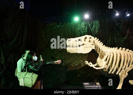 30. April 2022, Mailand, Lombardei, Italien: The Art of Brick trägt den Titel der Nathan SAWAYA Ausstellung, die in Mailand, Italien, eröffnet wurde. Dieser preisgekrönte Künstler hat mehrere einzigartige Exponate, die ausschließlich aus Standard-Lego-Steinen erstellt wurden, oft mit mehreren neuen Skulpturen, die speziell für jede Ausstellung erstellt wurden. Jede Show hat unzählige bunte Lego-Stücke, die SAWAYA in skurrile und majestätische Kreationen verwandelt hat. In der Regel benötigen die Skulpturen etwa 15.000-20.000 Steine und 2-4 Wochen, und NATHAN SAWAYA baut seine Kreationen sorgfältig und verwendet genau die gleichen Lego-Stücke, die man in s kaufen kann Stockfoto