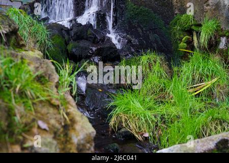 Ein kleiner Wasserfall, neben dem sich Steine mit Moos und Gras bewachsen befinden Stockfoto