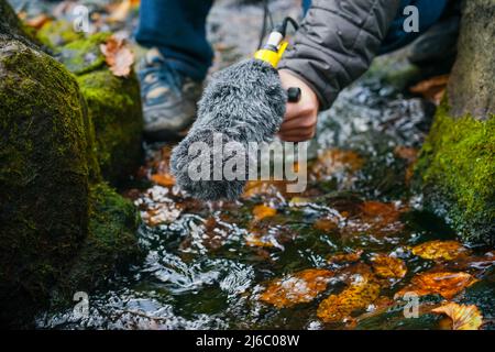 Der Typ hält eine Mikrofonpistole in der Hand. Aufnahme von Naturgeräuschen. Die Hand hält eine Mikrofonpistole, um Geräusche der Natur aufzunehmen. Tontechniker-Empfehlung Stockfoto