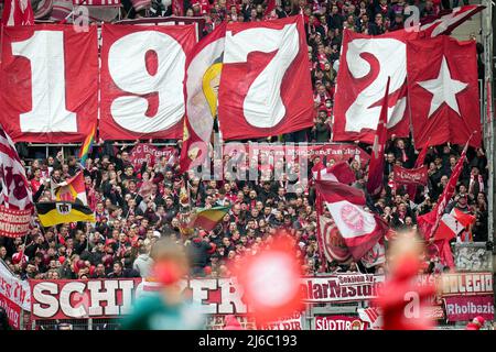 Deutschland. 30. April 2022. 30. April 2022, Rheinland-Pfalz, Mainz: Fußball: Bundesliga, FSV Mainz 05 - Bayern München, Matchday 32, Mewa Arena. Der Münchner Fanblock. Foto: Thomas Frey/dpa - WICHTIGER HINWEIS: Gemäß den Anforderungen der DFL Deutsche Fußball Liga und des DFB Deutscher Fußball-Bund ist es untersagt, im Stadion und/oder des Spiels aufgenommene Fotos in Form von Sequenzbildern und/oder videoähnlichen Fotoserien zu verwenden oder zu verwenden. Quelle: dpa picture Alliance/Alamy Live News Stockfoto