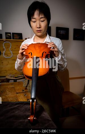 Die junge chinesische Geigenbauerin überprüft in der Werkstatt die Qualität ihrer Violine Stockfoto