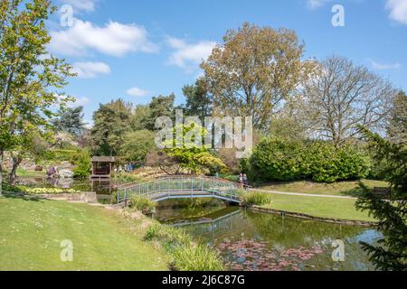 Burnby Hall Gardens Stockfoto