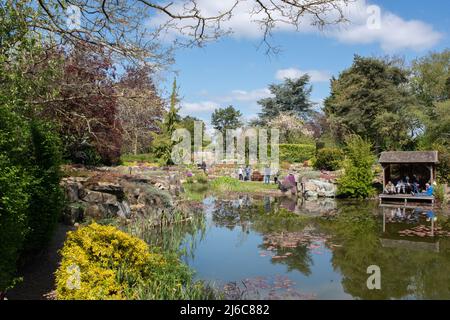 Burnby Hall Gardens Stockfoto