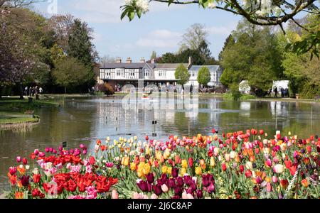 Burnby Hall Gardens Stockfoto