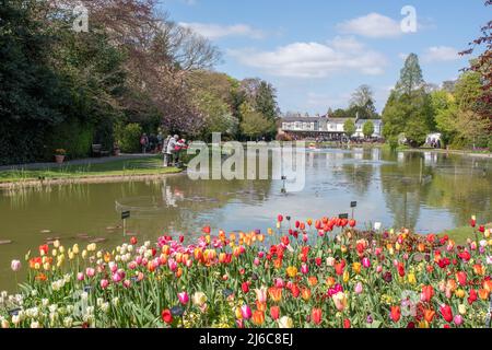 Burnby Hall Gardens Stockfoto