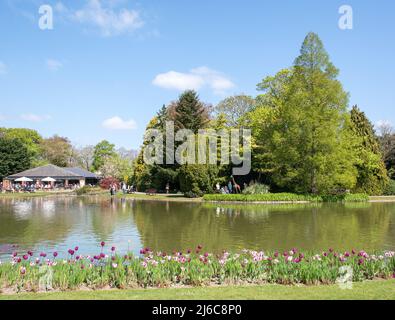 Burnby Hall Gardens Stockfoto