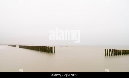 Reihen von Holzmasten für den Anbau von Muscheln im Meer an der französischen Opalküste Copy space. Horizont Stockfoto