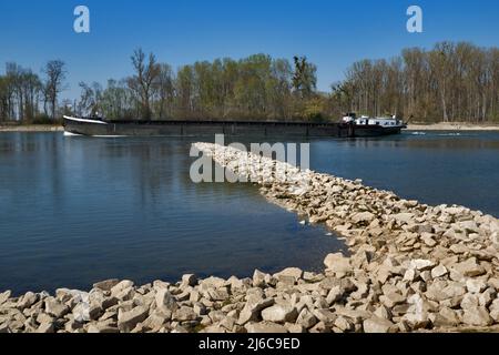 Schiff auf dem Rhein im Frühjahr, bei Leopoldshafen, Deutschland Stockfoto