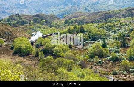 JACOBITE DAMPFZUG DURCH MORAR WÄLDER IM FRÜHJAHR EN ROUTE NACH MALLAIG SCHOTTLAND Stockfoto