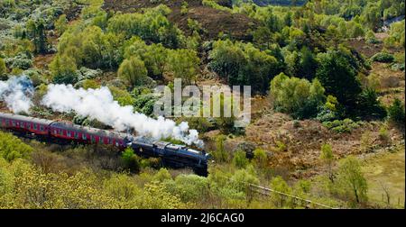 JACOBITE DAMPFZUG DURCH MORAR WÄLDER IM FRÜHLING EN ROUTE NACH MALLAIG SCHOTTLAND Stockfoto