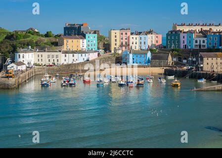 Tenby Wales, Blick im Sommer auf den bunten Hafen in Tenby, Pembrokeshire, Wales, Großbritannien Stockfoto