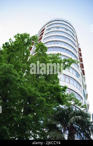 Großer Baum in der Stadt vor dem Hintergrund von Wohngebäuden. Stadtlandschaft mit Bäumen. Sommer Stockfoto